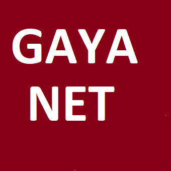 Gaya netLogo